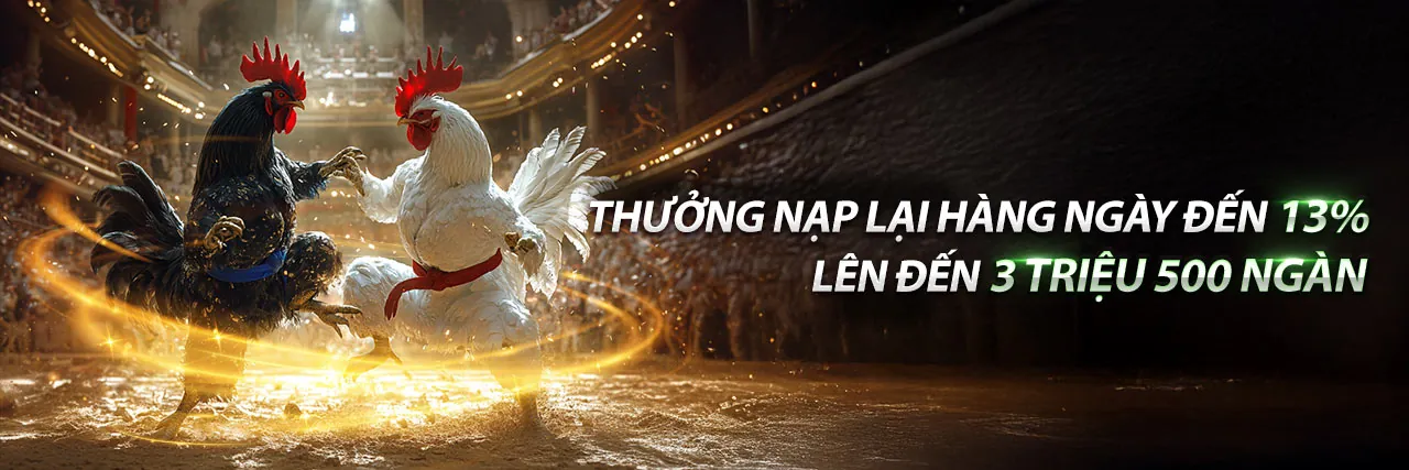Đá Gà Trực Tuyến Sôi Động tại nohu 09 link mới