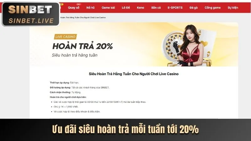 Giao diện đặt cược đá gà